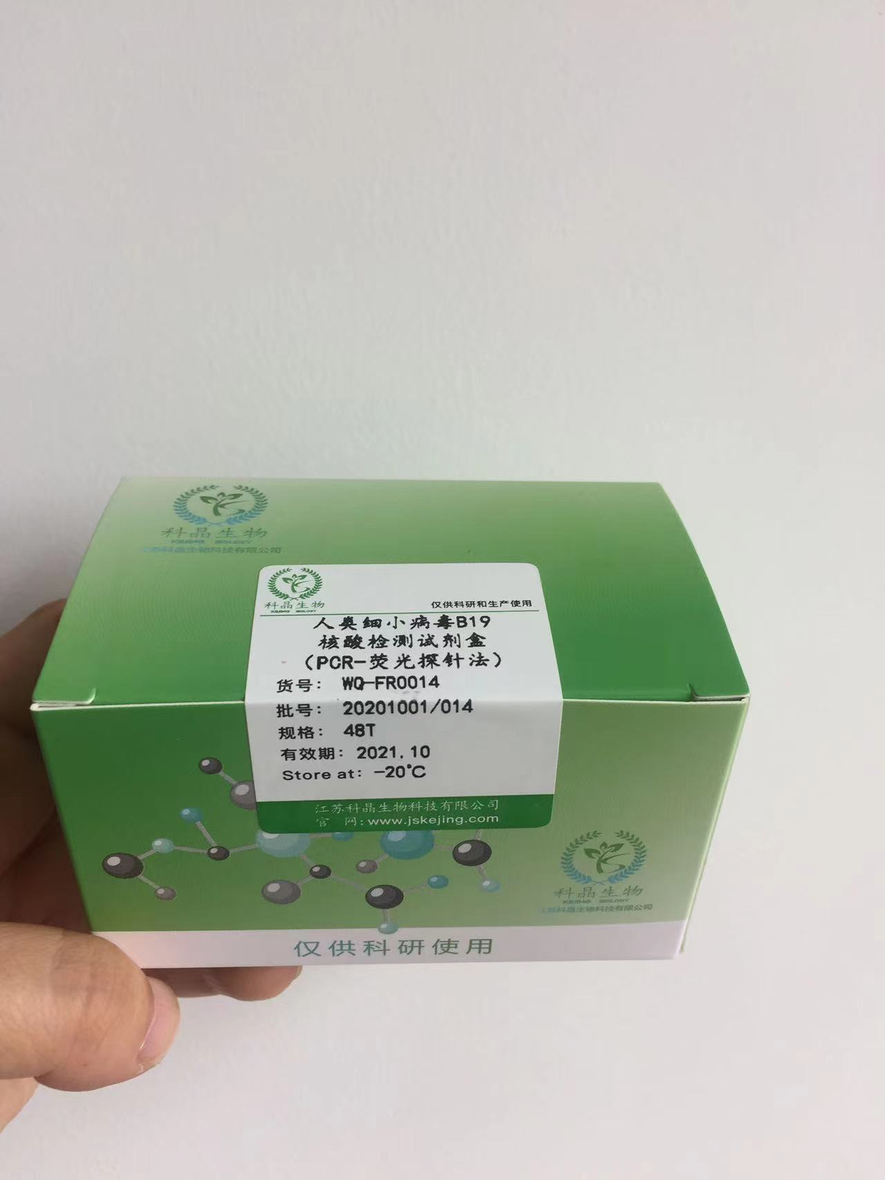 人类细小病毒B19核酸检测试剂盒（PCR-荧光探针法）